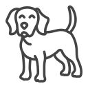 animal accepté